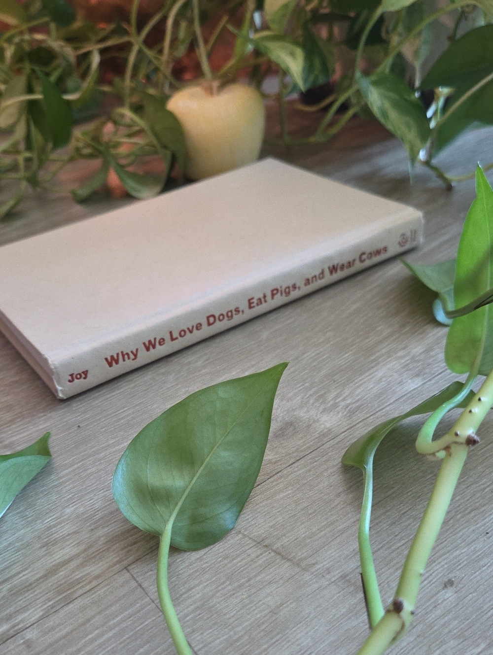 Why We Love Dogs, Eat Pigs, And Wear Cows - Author Melanie Joy, Ph.D